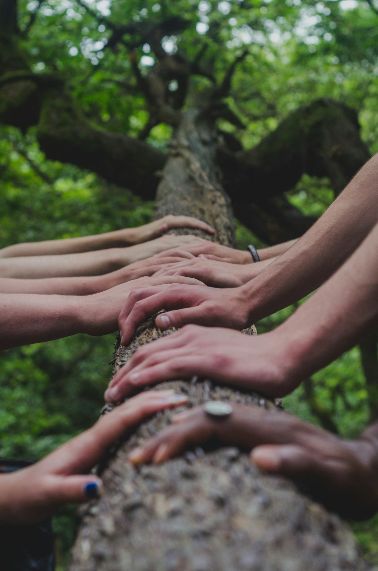 Creating a Ripple Effect of Joy Together